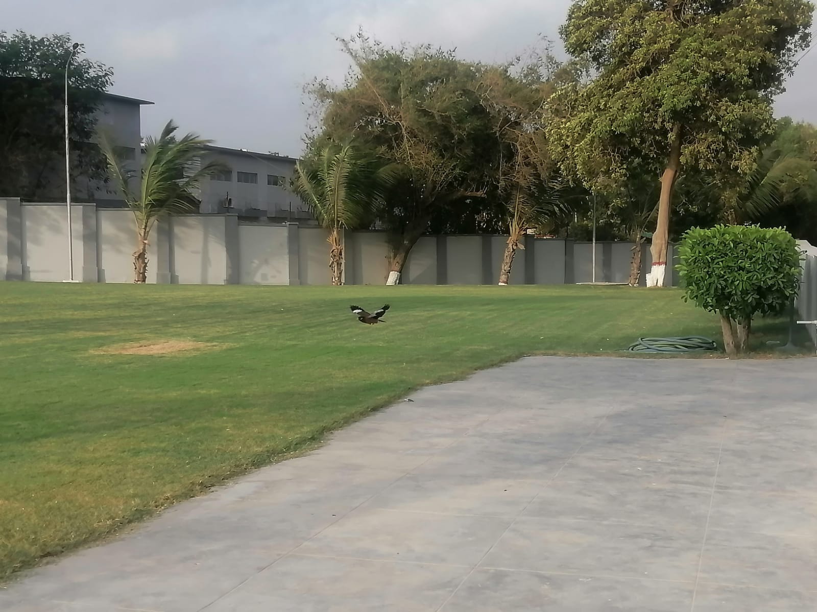Bahria Auditorium gallery image 19